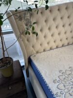 Pat Diva — изображение 12