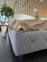 Pat Luna — изображение 15