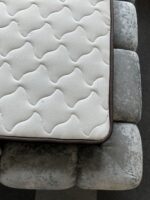 Pat Kelly — изображение 9